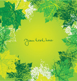 background with summer leafs vector image vector image