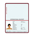 passport identification document vector image