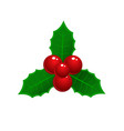 realistic hand drawn holly ilex branch with berry vector image