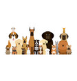 group of dog breeds vector image