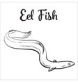 live eel fish isolated on white background vector image