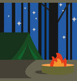 camp vector image vector image