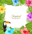 tropical background with toucan bird colorful vector image