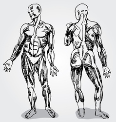 Keys Royalty Free Vector Image - VectorStock