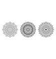 luxury ornamental mandala design vector image