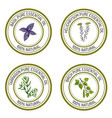 set of essential oil labels basil tarragon birch vector image