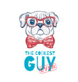 cute pug dog t-shirt print design cool animal vector image