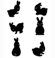 rabbit vector image