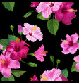 tropical hibiscus flower seamless background vector image vector image