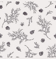 seamless pattern with juniper branches vector image