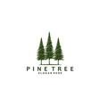 tree pine logo icon template vector image