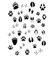 animal footpints set vector image