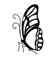 contour butterfly icon simple style vector image