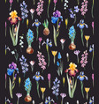 watercolor floral pattern vector image
