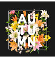 autumn lily flowers background floral design vector image