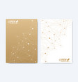 template for brochure leaflet flyer vector image