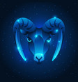 capricorn zodiac sign blue star horoscope symbol vector image vector image