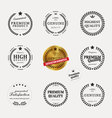collection of premium quality labels vector image