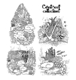 graphic coral reef collection vector image