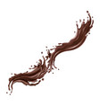 liquid chocolate splashes on a white background vector image
