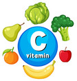 educational group of food containing vitamin c vector image