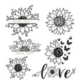 collection of sunflowers silhouettes vector image