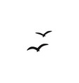 a flock of flying silhouette birds vector image vector image