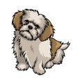shih tzu dog mascot cartoon vector image vector image