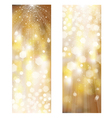 gold background vector image vector image