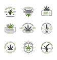 set of medical marijuana logos cannabis badges vector image