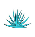 blue agave cartoon seen in side view vector image vector image