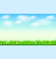 summer landscape background green natural grass vector image