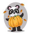 cute little panda wearing pumpkin costume vector image