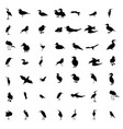 set of black and white silhouettes of birds dove vector image