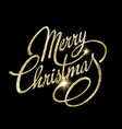 christmas card with text merry vector image