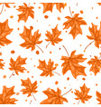 seamless pattern with maple leaves image vector image vector image