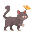 cat cartoon vector image