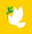 peace dove flat style of white pigeon with olive vector image vector image