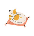 cute tired cat sleeping on pillow with its tail vector image