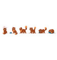 set of cat vector image vector image