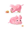 cartoon animal clip art vector image