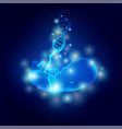 fetus vector image