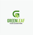 green leaf logo vector image