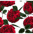 seamless pattern with red roses vector image