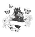 human anatomical heart whit flowers vector image vector image