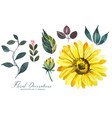 watercolor sunflower decoration leaves collection vector image vector image