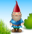 garden gnome vector image vector image