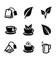 leaf nature tea vector image