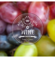 grape vector image