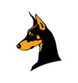doberman head logo on a black background dog vector image